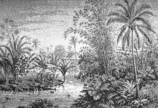 Tapisserie Jungle aux palmiers